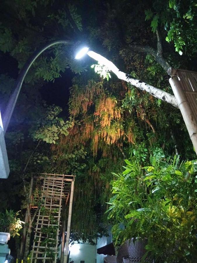 Mai Chau Mountains Hostel Екстериор снимка